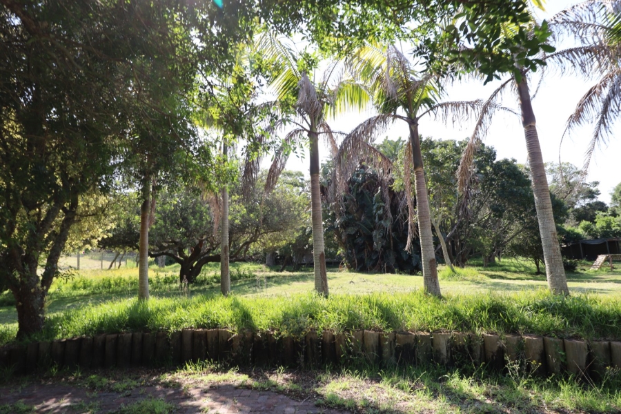 Commercial Property for Sale in Chelsea Eastern Cape